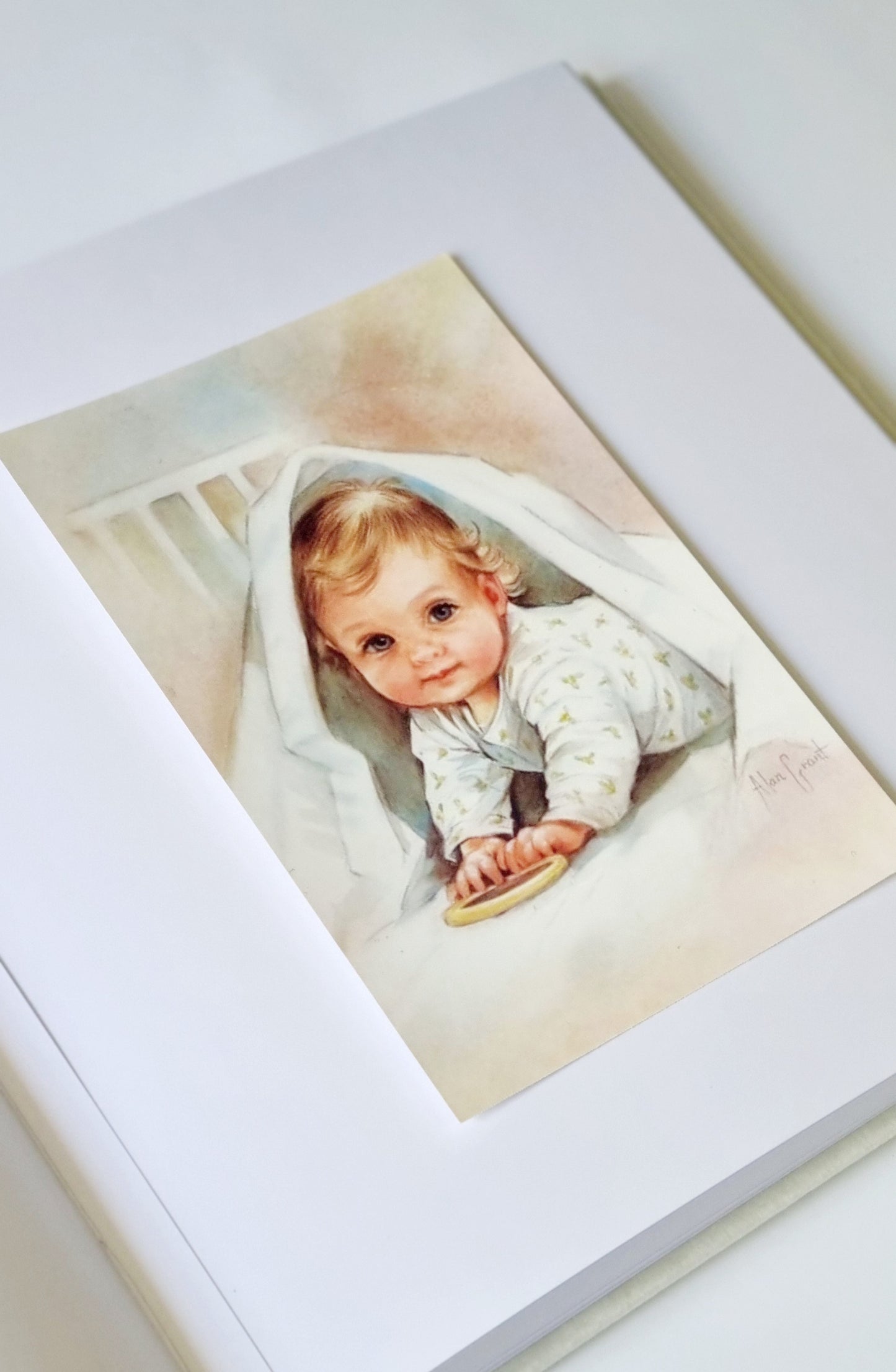 Rankų darbo albumas "Cukrinis avinėlis"