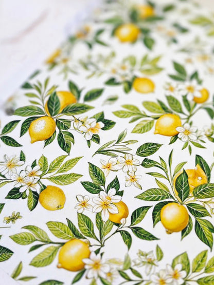 Rankų darbo bloknotas "Limončelo"