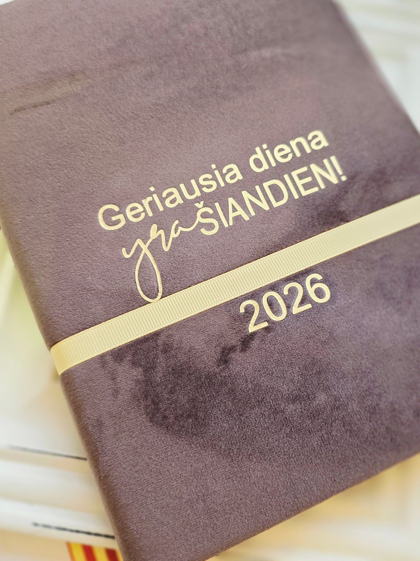 Darbo knyga 2026 Geriausia diena