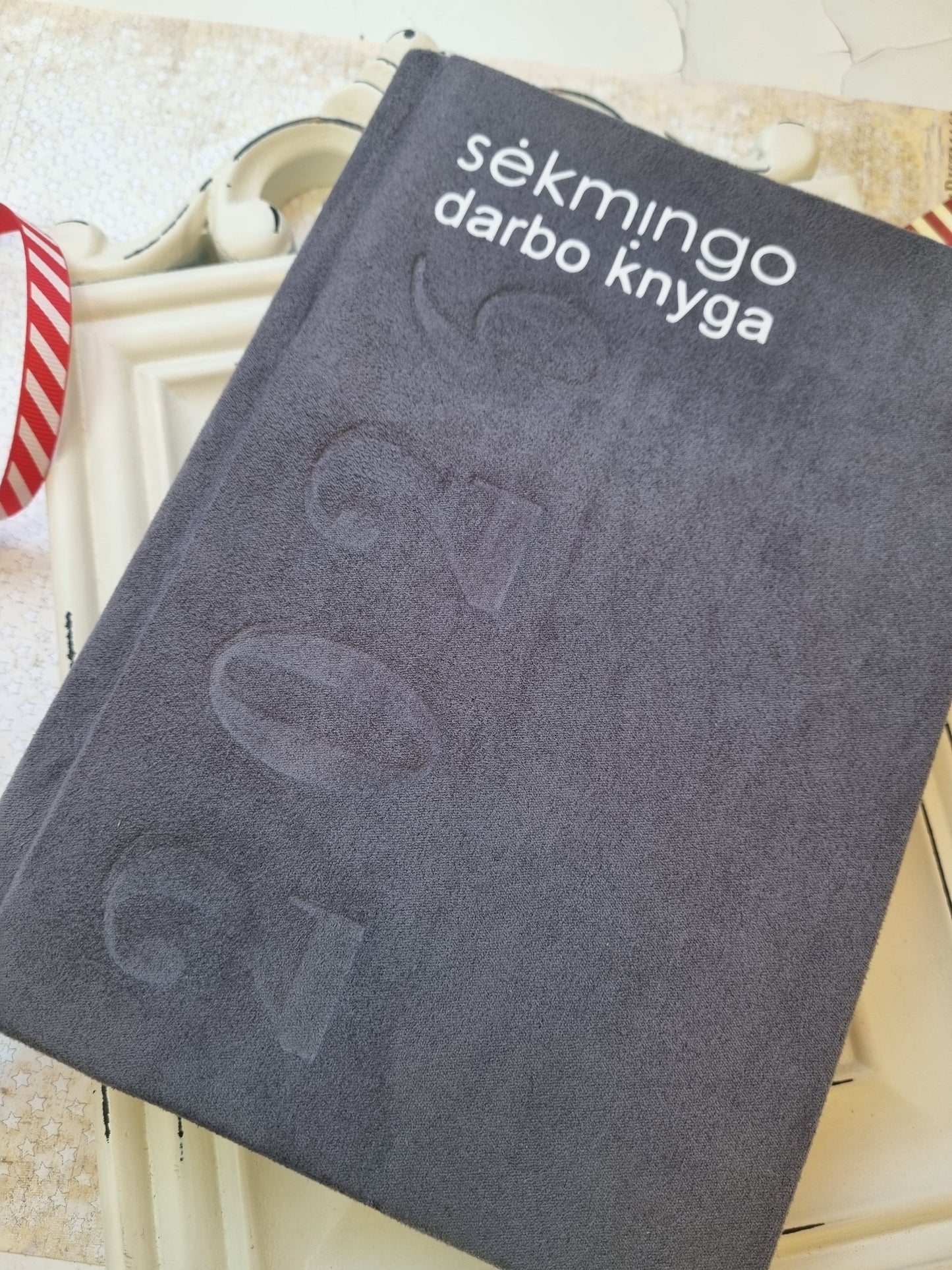 Darbo knyga kalendorius 2026 "Pilka"